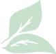 Листья зеленый иконка